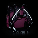 Kép Bagmaster PRIM 23 A iskolai aktatáska - kutyus rózsaszín 20 l