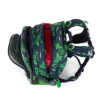 Kép Bagmaster LUMI 25 C iskolai hátizsák - Dinoszaurusz zöld 18 l