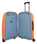 Kép IMPACKT IP1 M Kerti sárgabarack 73 L