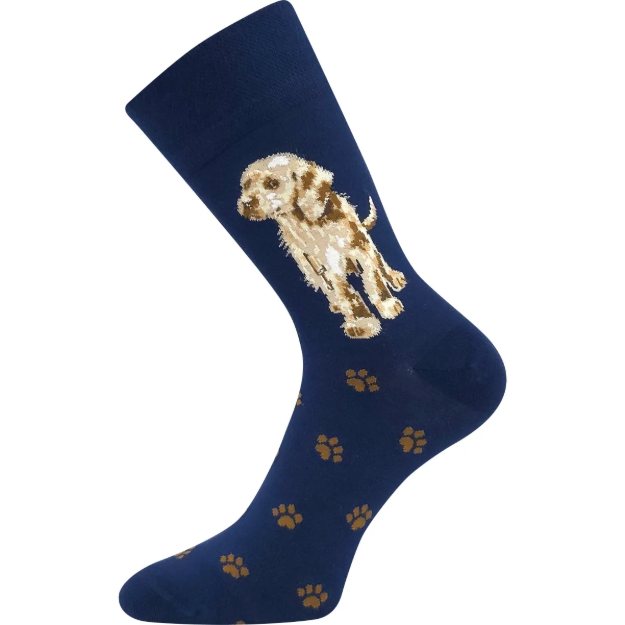 Kép LONKA Foxana kutya zokni 3 pár