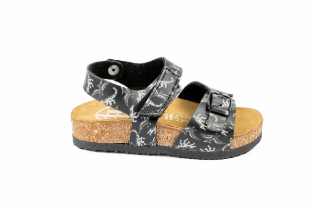 Kép Dětské pantofle s dinosaury