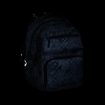 Kép Bagmaster ZIPSTER 25 B studentský set – šedý Šedá 30 l