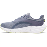 Kép Under Armour UA Ascend-GRY Férfi cipő szürke