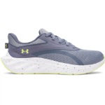 Kép Under Armour UA Ascend-GRY Férfi cipő szürke